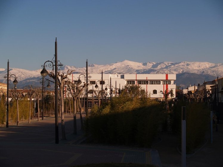 Slide image