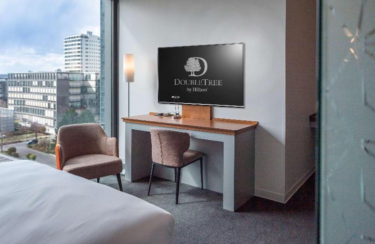 DOUBLE DELUXE QUEEN BED Room