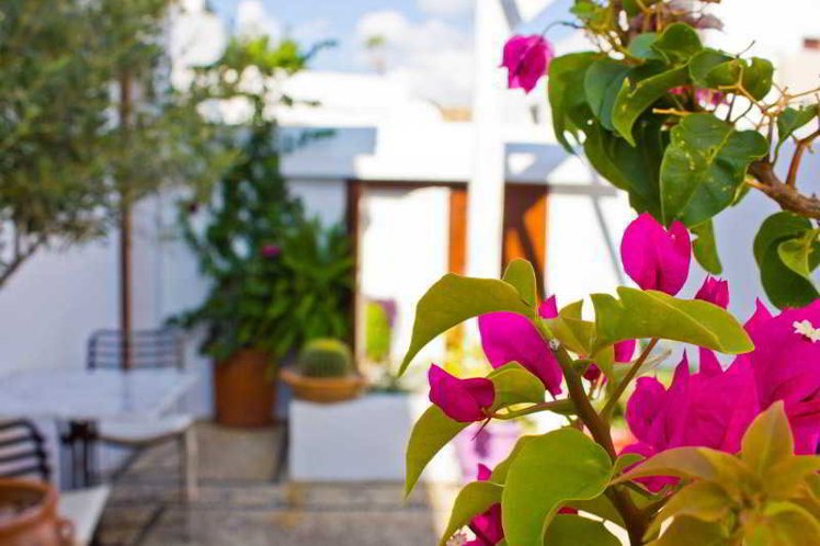 Holiday image