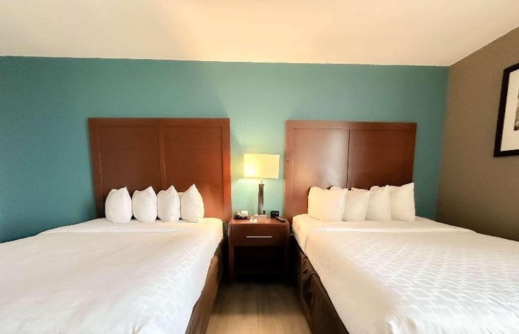 DOUBLE TWO QUEEN BEDS Room