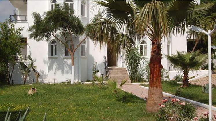 Holiday image