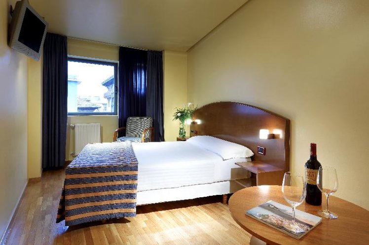 DOUBLE SINGLE USE STANDARD Room