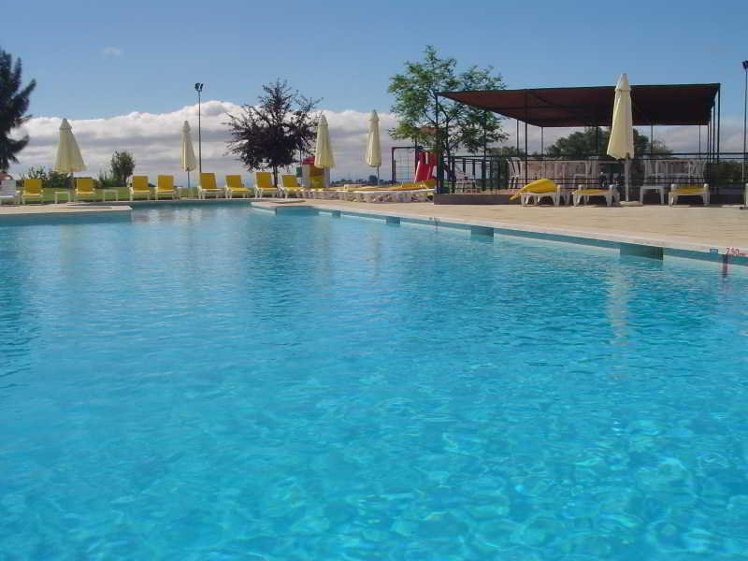 Holiday image