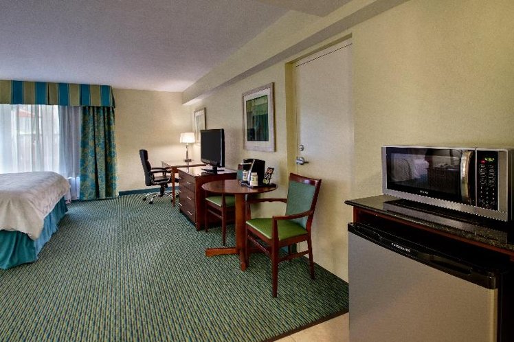 DOUBLE EXECUTIVE KING BED Room