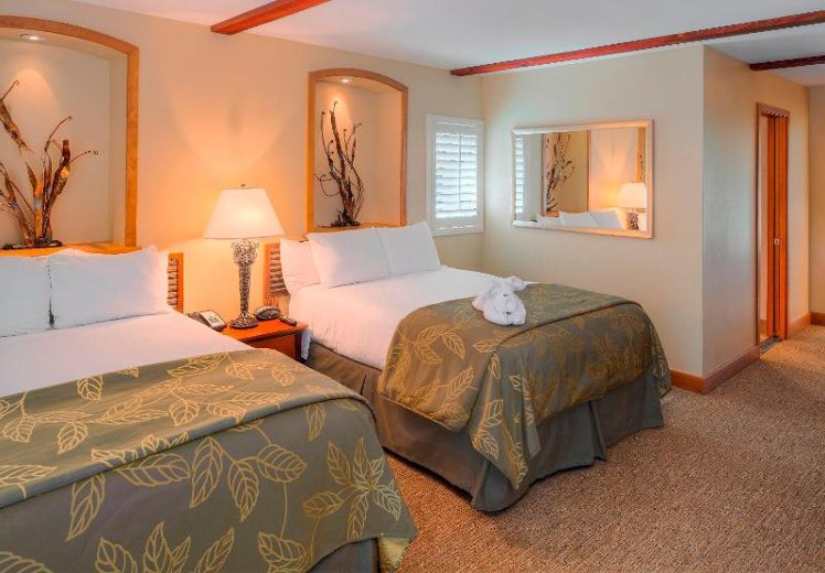 SUITE PARK VIEW Room