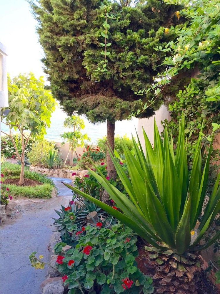 General view