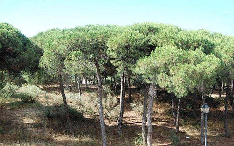 General view