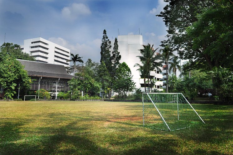Slide image