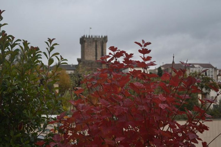 General view