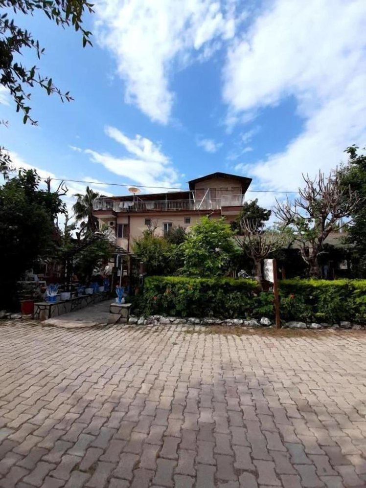 General view