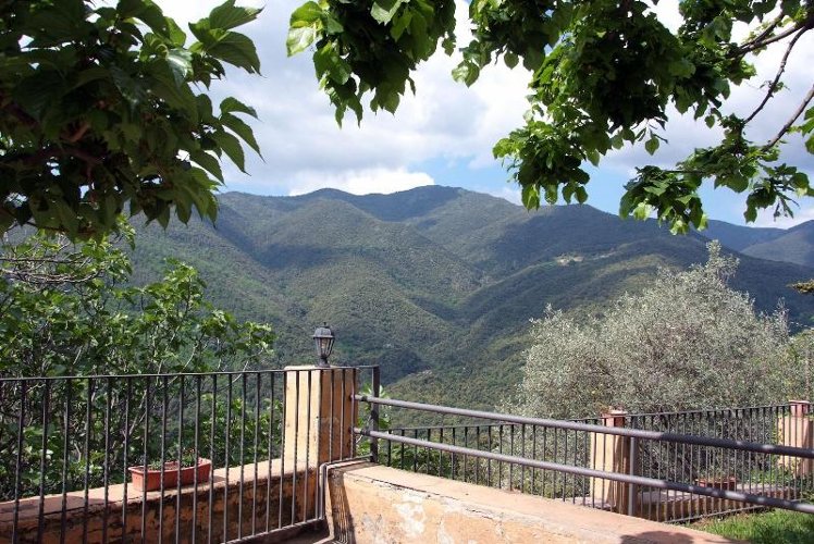 General view