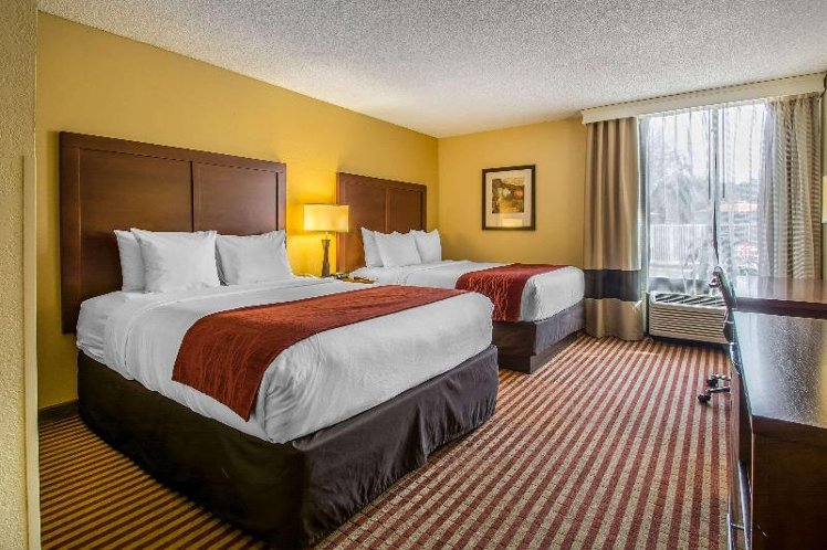 DOUBLE TWO QUEEN BEDS Room