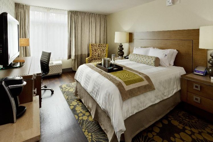 DOUBLE Accessible KING SIZE BED Room