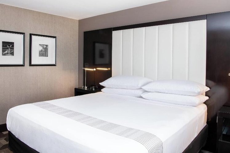 DOUBLE EXECUTIVE KING BED Room