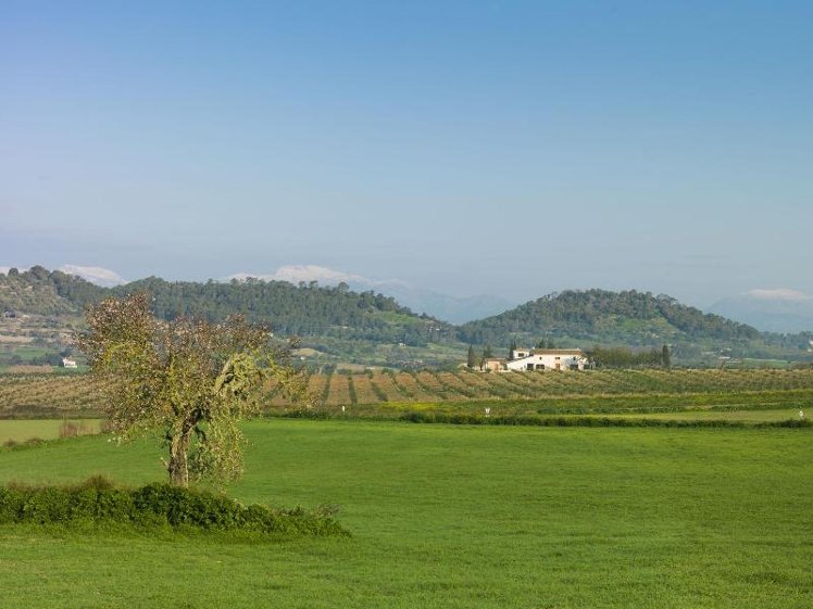 General view