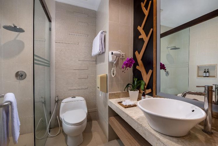 Double or Twin SUPERIOR Room