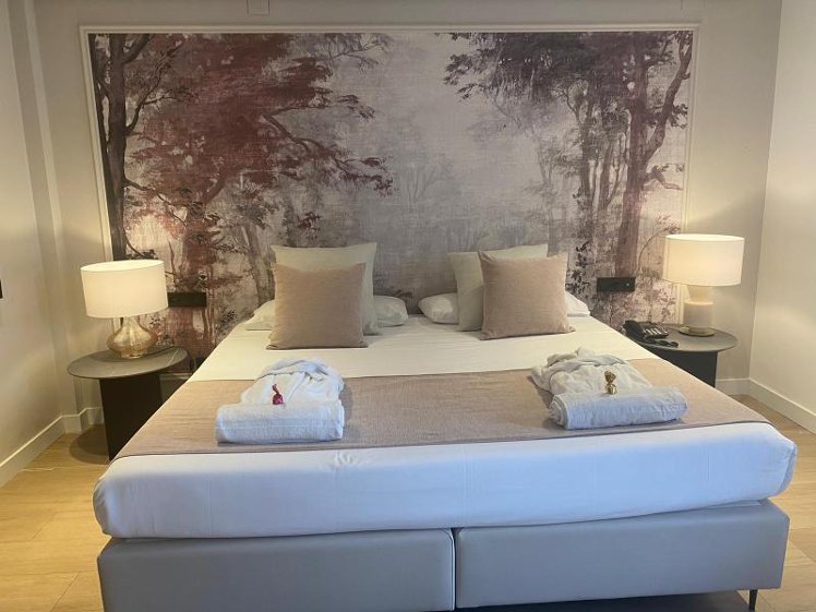 Double or Twin DELUXE Room