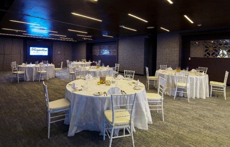 Conferences