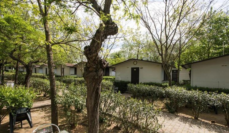 BUNGALOW CAPACITY 2 Room