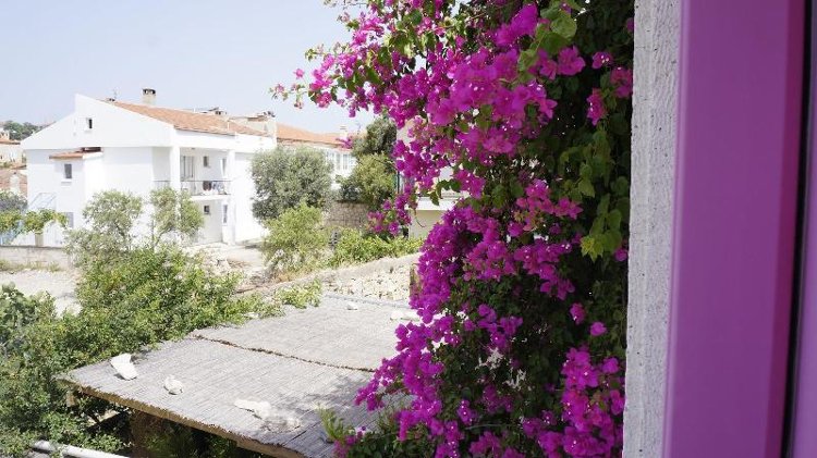 General view