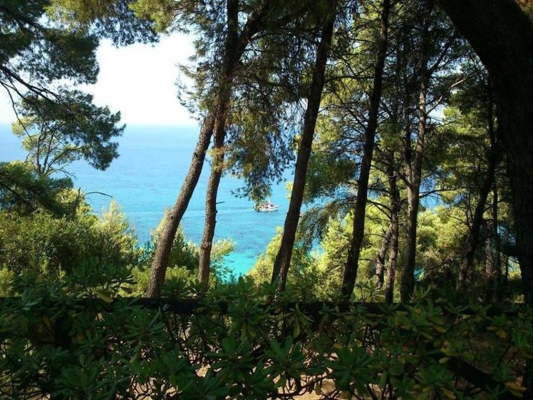 Holiday image