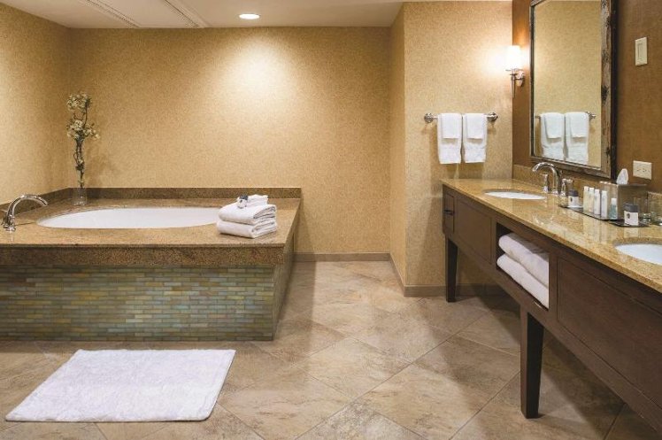 SUITE DELUXE ONE BEDROOM Room