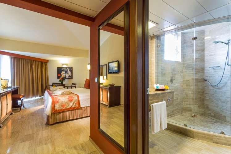 DOUBLE DELUXE OCEAN VIEW Room