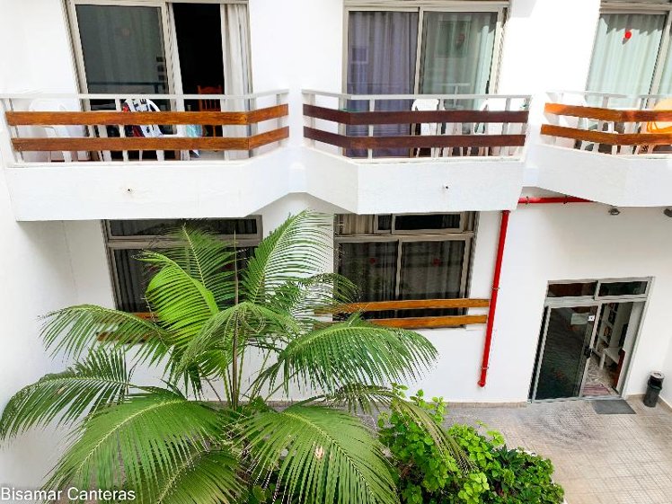 STUDIO GARDEN VIEW Room