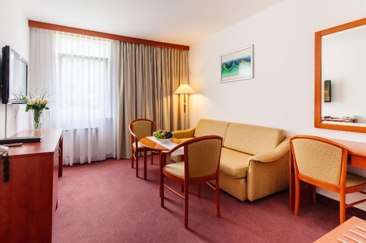 JUNIOR SUITE STANDARD Room