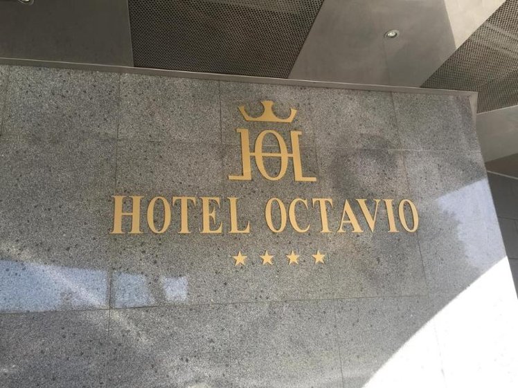 Mir Octavio