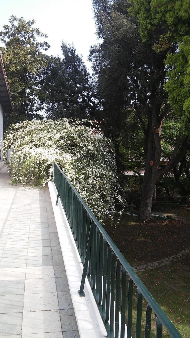 General view