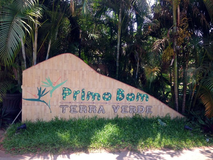 Primo Bom Terra Verde