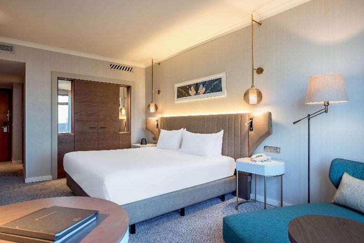 DOUBLE GUEST ROOM KING BED Room