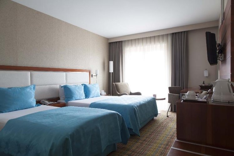 TWIN STANDARD Room
