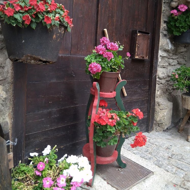 Holiday image