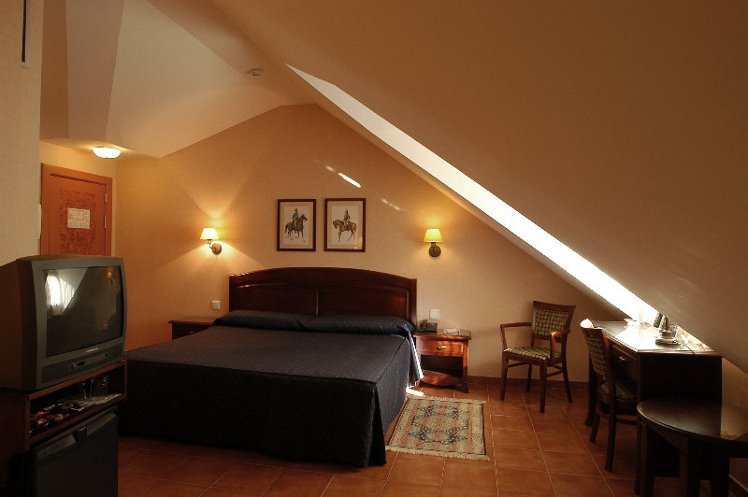 Double or Twin STANDARD Room
