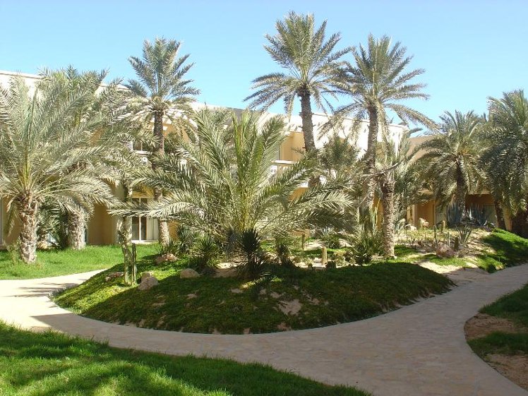 Holiday image