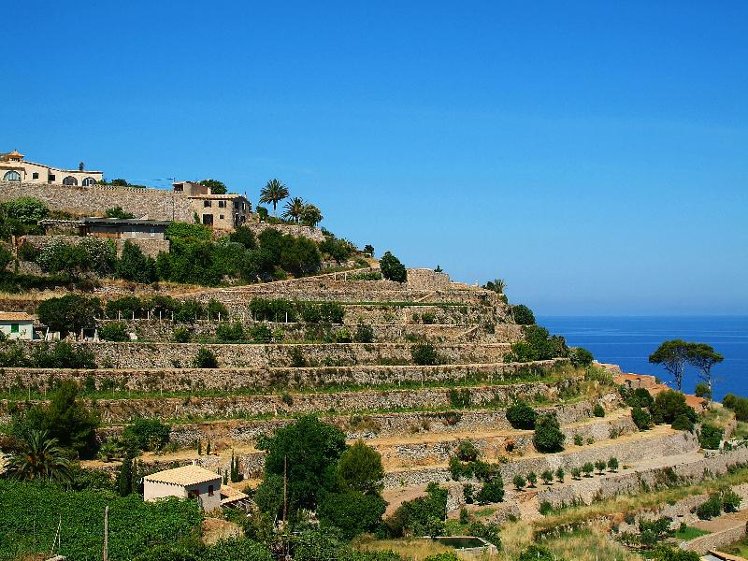 General view