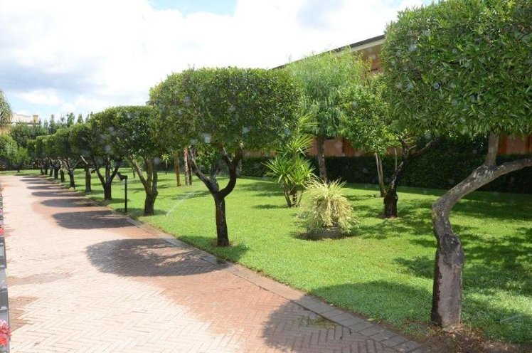 General view