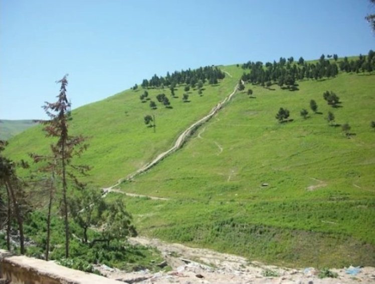 Slide image