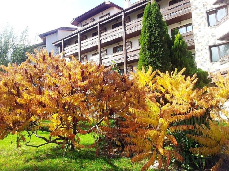 Hotel Orphey Bansko