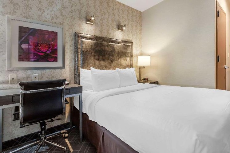 DOUBLE QUEEN SIZE BED Room