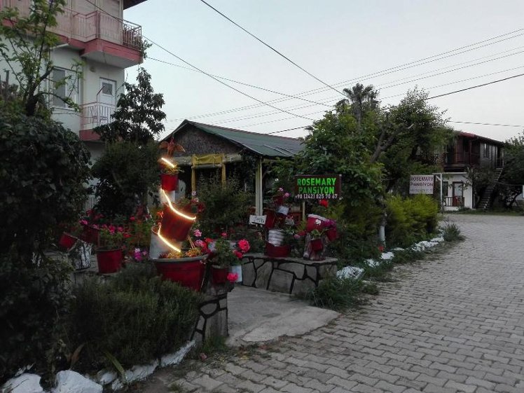 General view