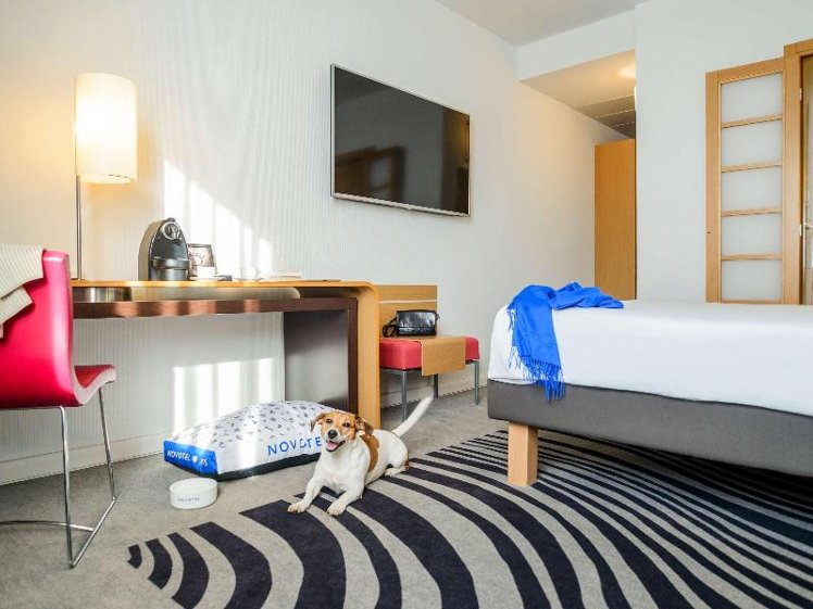 DOUBLE EXECUTIVE KING BED Room
