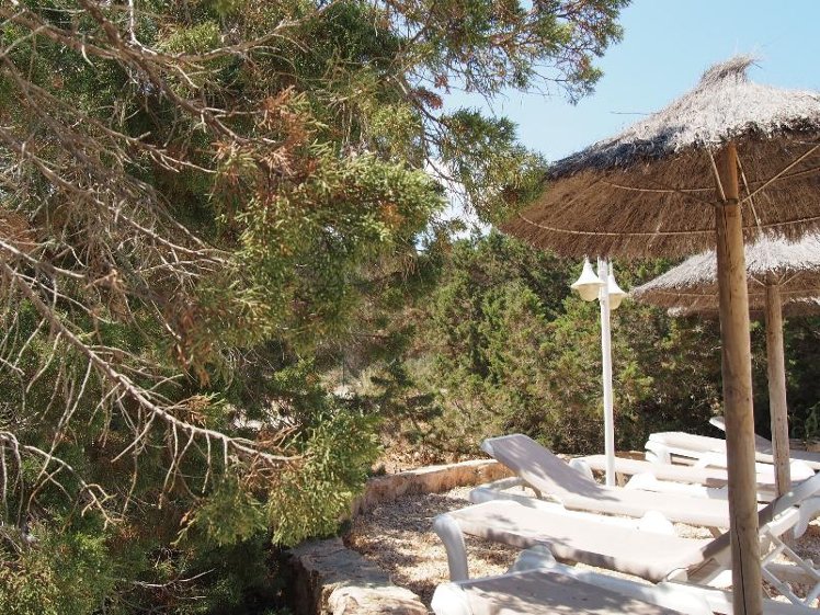 BUNGALOW STANDARD Room