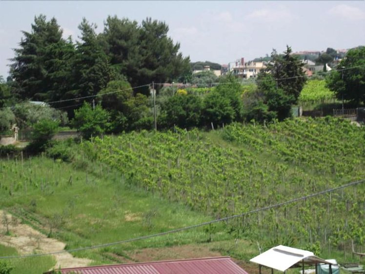 General view