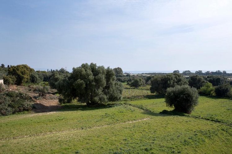 General view