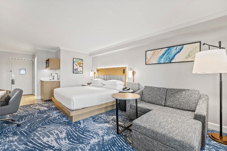 DOUBLE PREMIUM KING BED Room