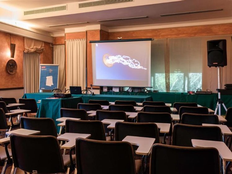 Conferences