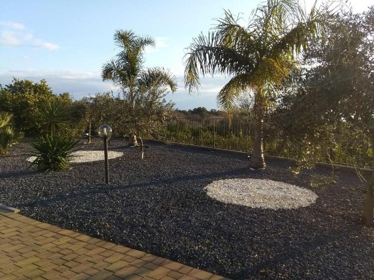 Holiday image